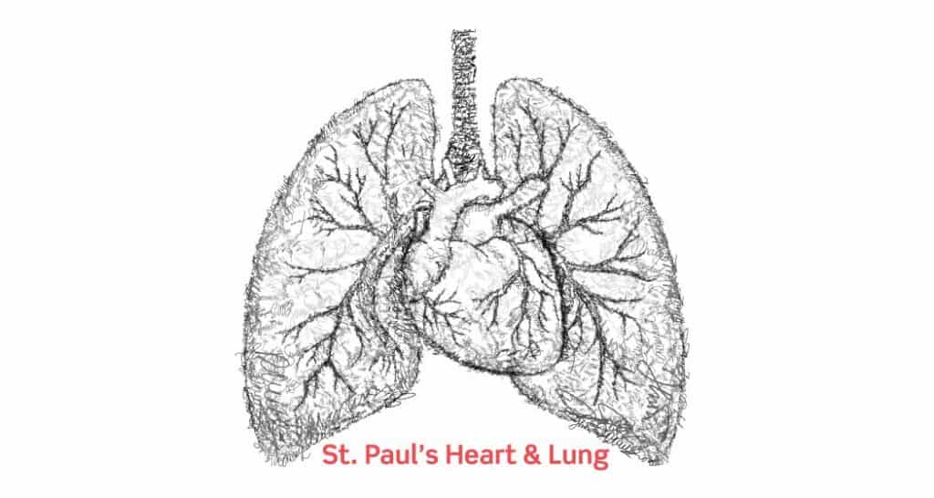 Image of Graphic illustration of heart and lungs