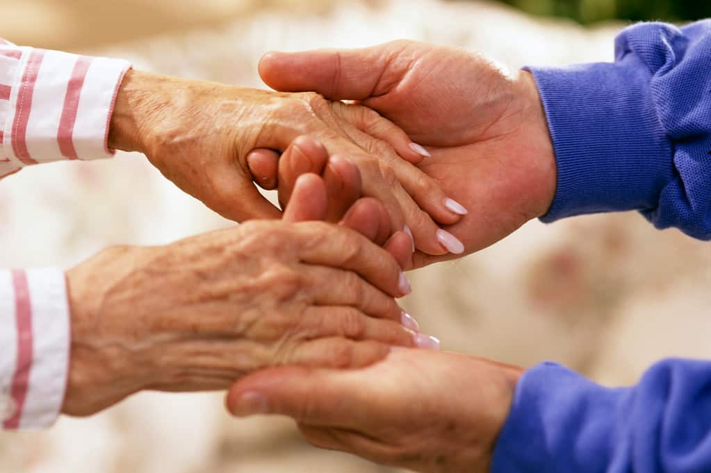 Image of Elderly hands