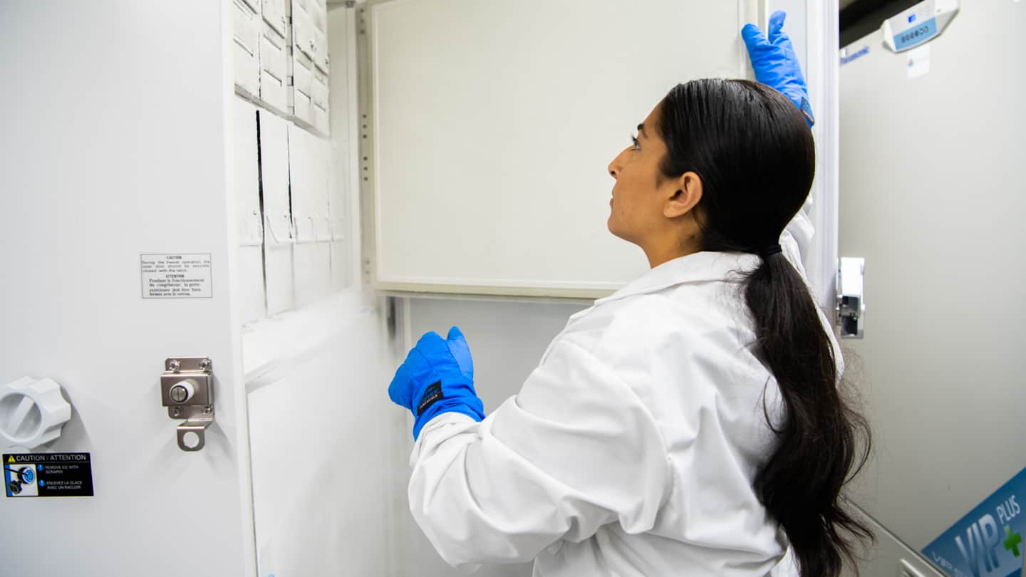 A team member looks at samples in the biobank at St. Paul's Hospital.