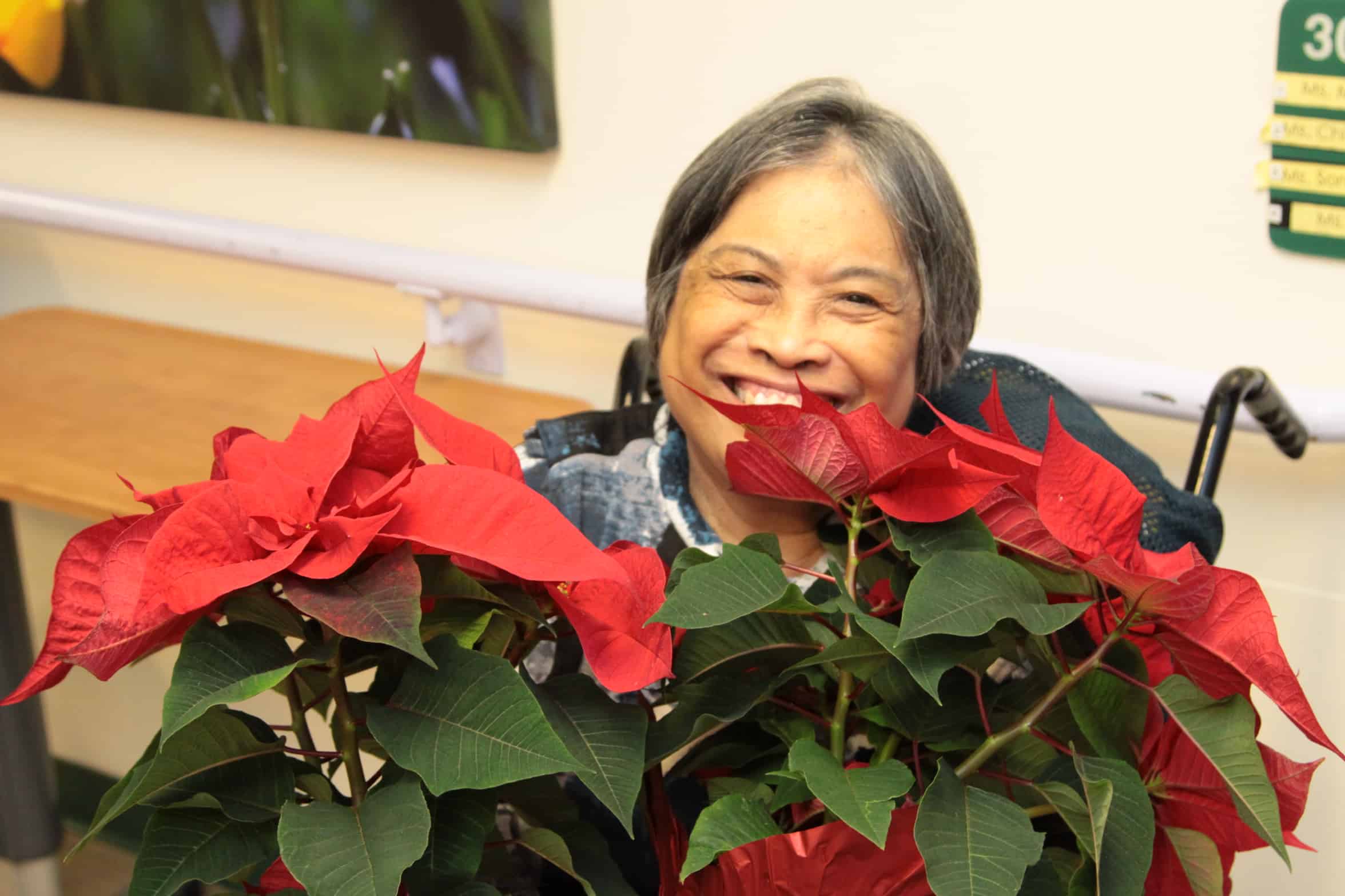 Sonia, a resident living in long-term care at Holy Family Hospital in Vancouver, was delighted to receive the gift of poinsettias from Meadowlands Horticultural.