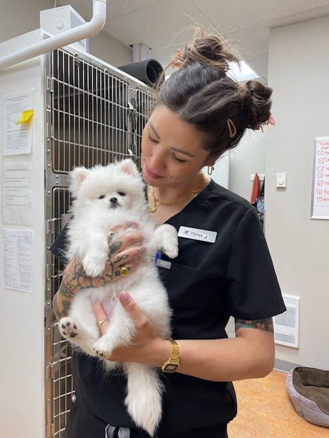 Trina, grateful patient living with cystic fibrosis, at work holding a white fluffy dog.